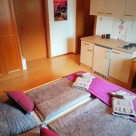 Apartmenthaus Graz Guest house